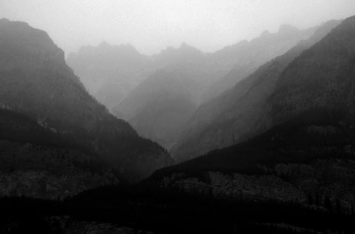 MIsty Valley, Jasper National Park