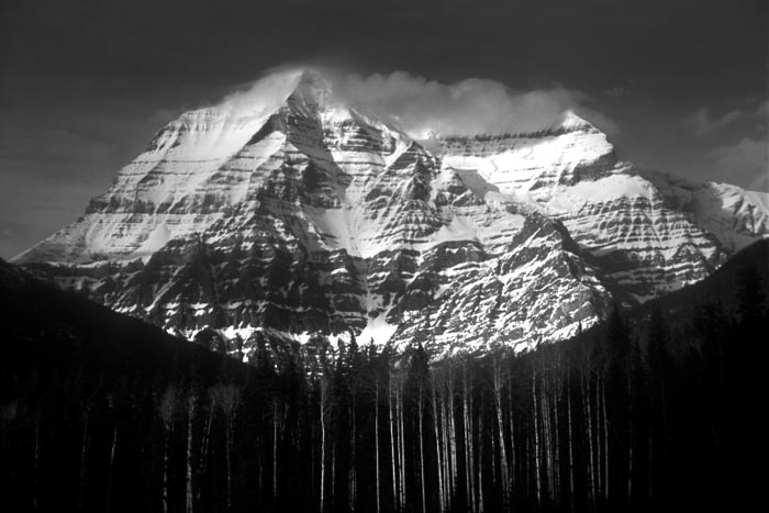 Mount Robson with Aspens